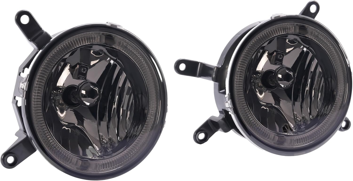 HECASA Pair Fog Light Compatible with 2005-2009 Ford Mustang GT Replacement for FO2591106 4F9Z15200AA Bumper Driving Fog Lamp w/LED DRL Driver&Passenger Side - Smoke Lens Chrome Housing
