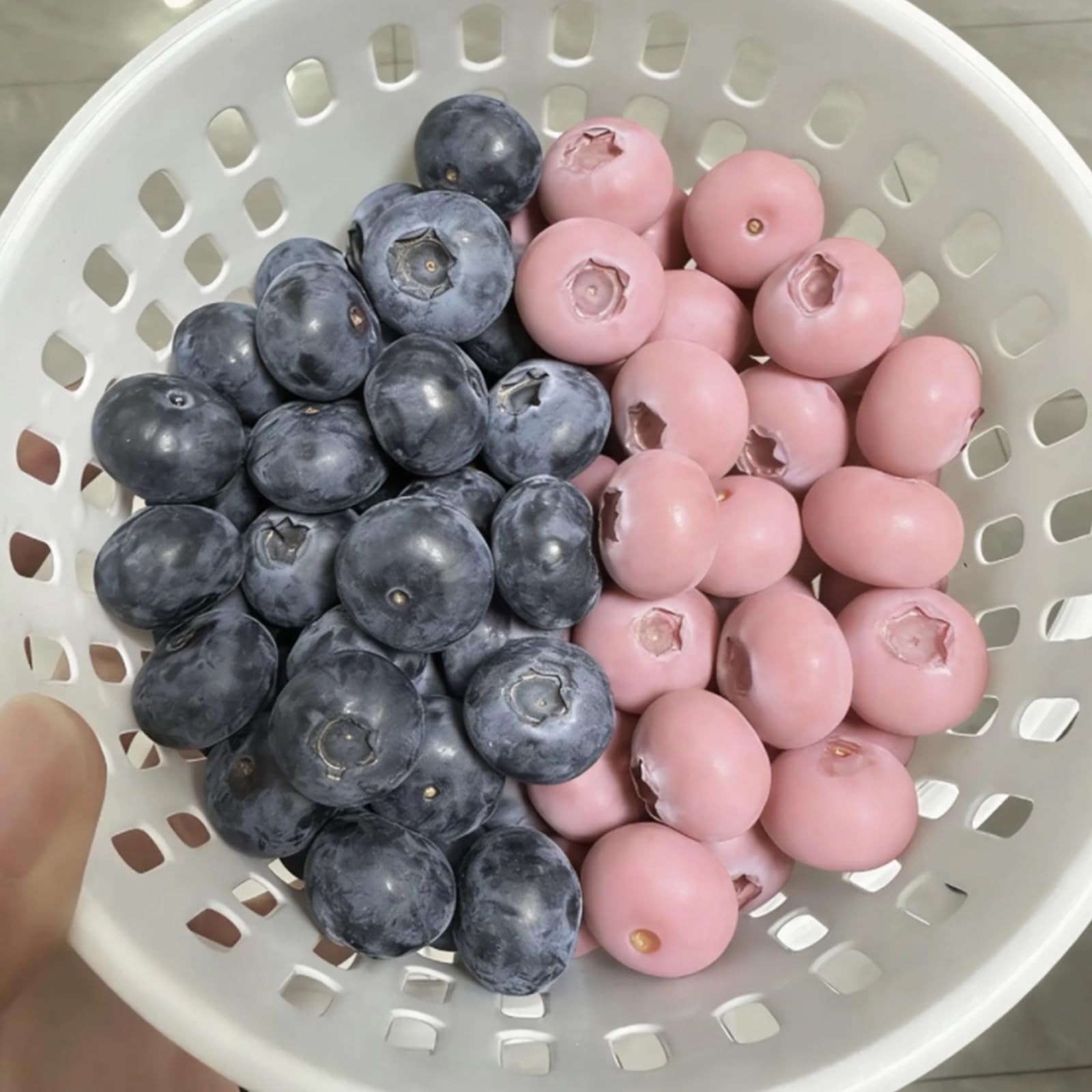 500/1000 Premium Pink Blueberry Seeds, Fruit Plant Seeds for Home Garden Growing and Edible Landscape Design All Seasons, Edible Berry Plant with Planting Instructions (500,A) - 3