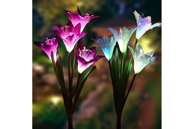 Best Solar Lights For Garden Amazon Com