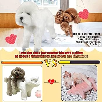 犬18 Amazon | Eagloo 犬 ハーネス 大型犬 18-34kg犬用 犬への負担が