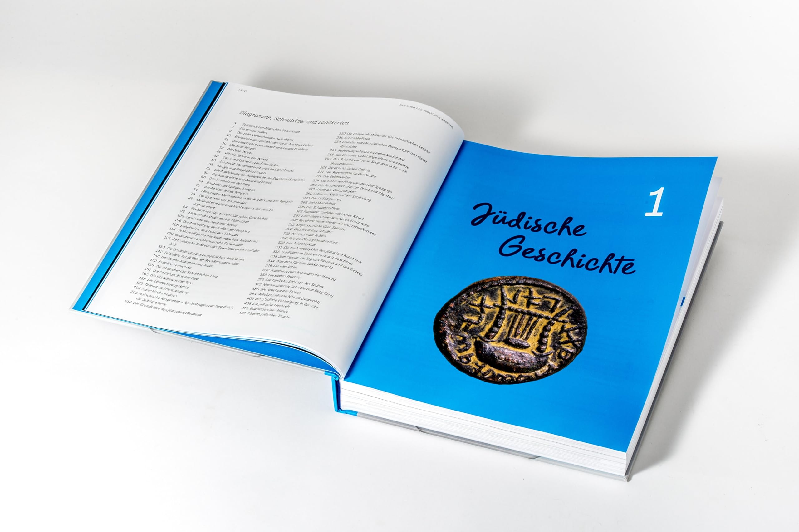 Das Buch des jüdischen Wissens: Geschichte - Lehre - Leben