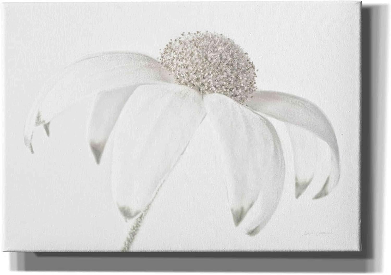 Epic Graffiti 'Flannel Flower Neutral' by Elise Catterall, Giclee Canvas Wall Art, 26"x18"