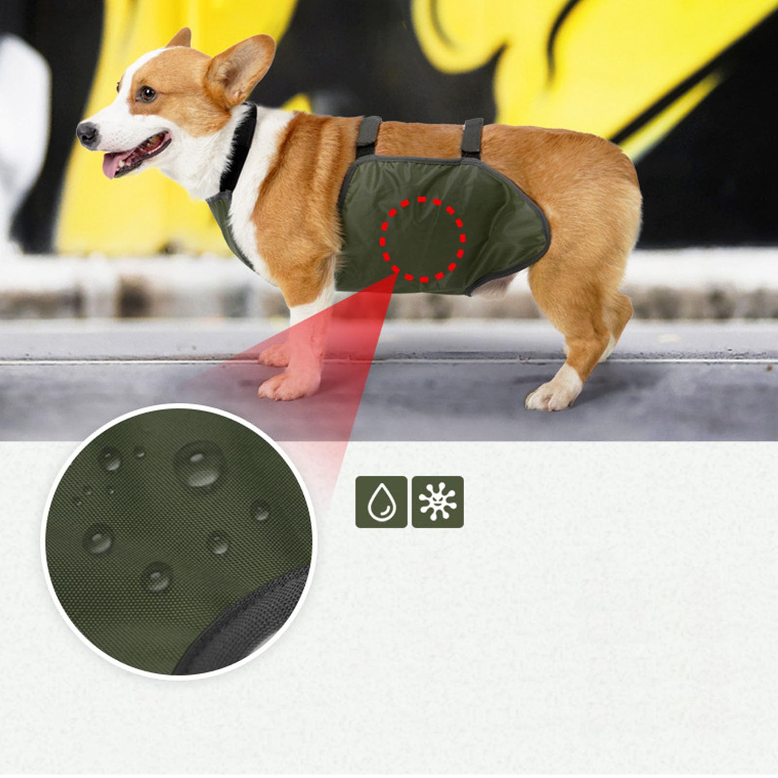 Grembiule per Cani Protezione per la Pancia Bavaglino Impermeabile per Cani Protezione per il Torace Gilet Protettivo per Animali Domestici per Cani Maschi e Femmine Corgi Bassotto Bulldog(M-OD Verde)