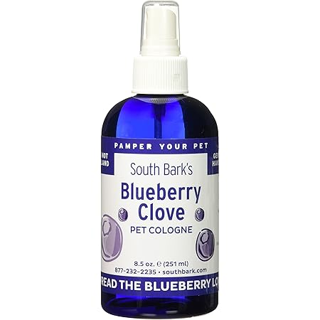 blueberry cologne