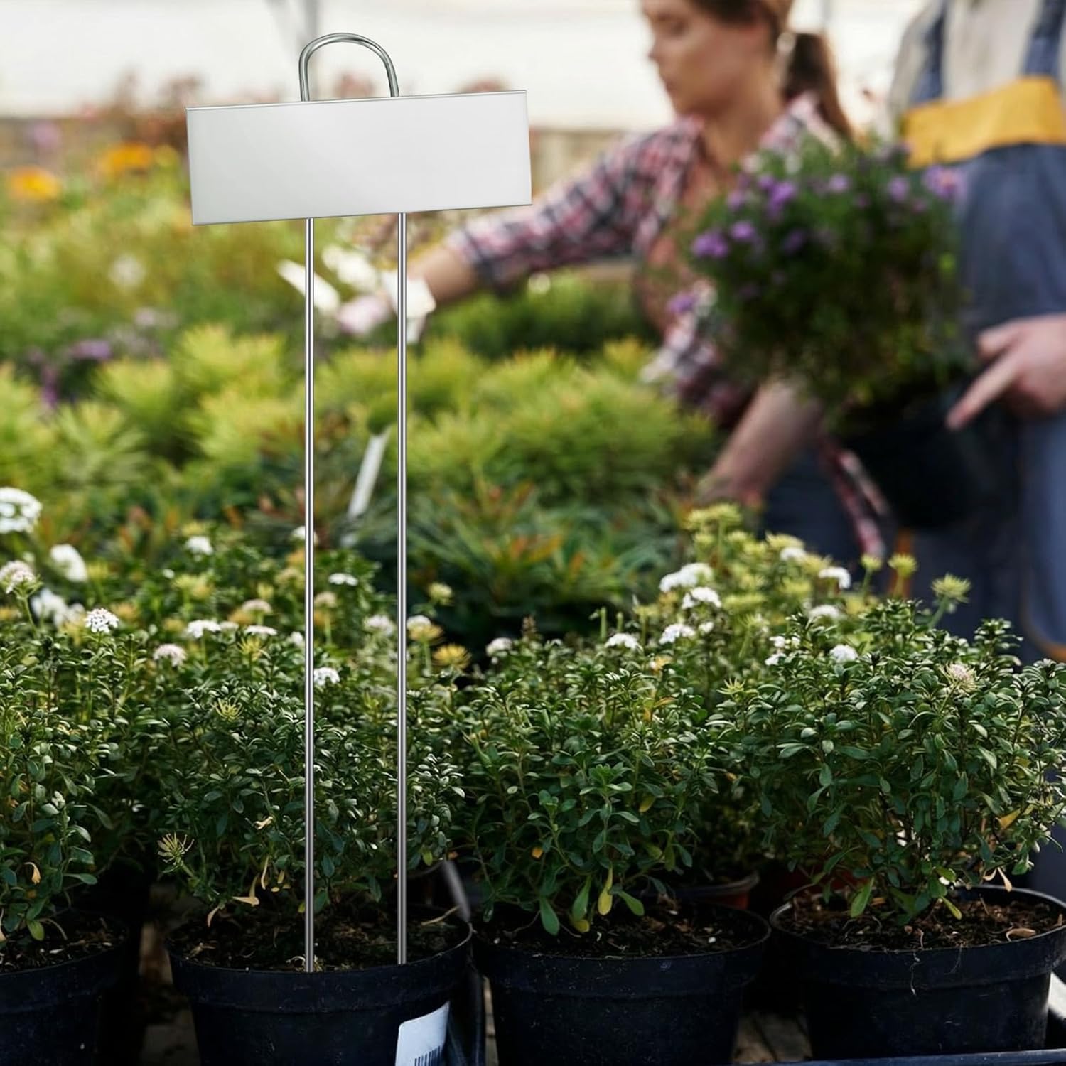 Duraaamo 30 Pcs Metal Large Plant Label Stakes 21" H Garden Labels Marker Sign Reusable Metal Name Stakes Plant Tags for Outdoor Garden Waterproof Seedlings Herbs Vegetable Greenhouse Sliver