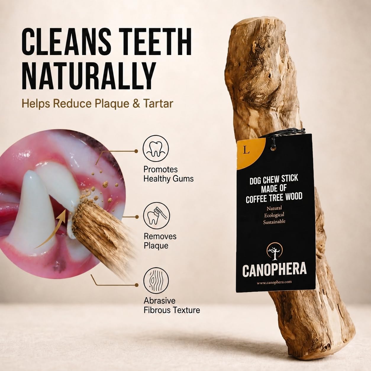 Canophera 2er-Pack Vogelsitzstangen aus natürlichem Kaffeebaumholz – langlebige Holzzweige für Papageien, Sittiche, Nymphensittiche, Unzertrennliche, Sittiche, Sittiche, Sittiche, Sittiche, Sittiche