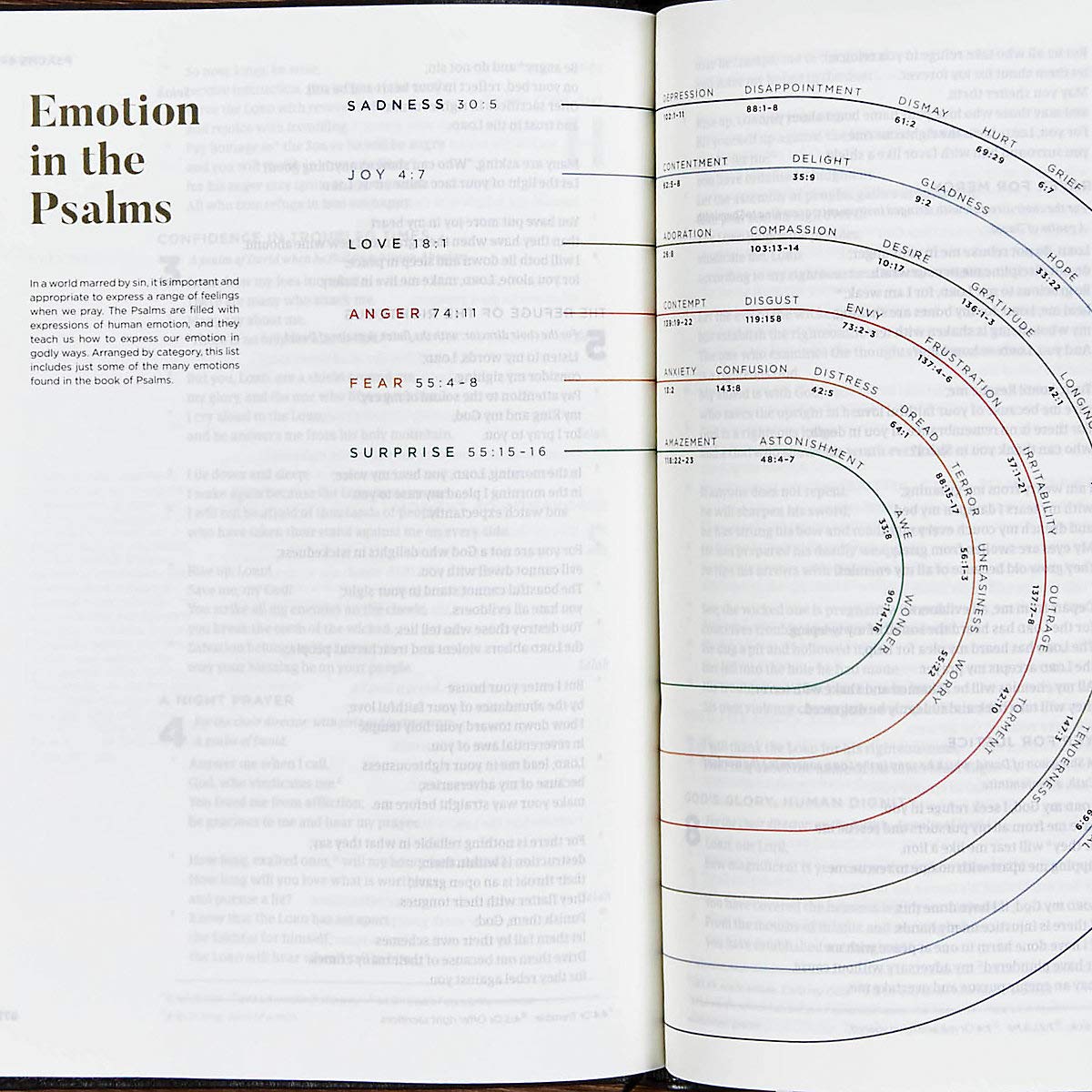 CSB He Reads Truth Bible, Black LeatherTouch, Black Letter, Wide Margins, Journaling Space, Illustrations, Reading Plans, Single-Column, Easy-to-Read Bible Serif Type - Image 6