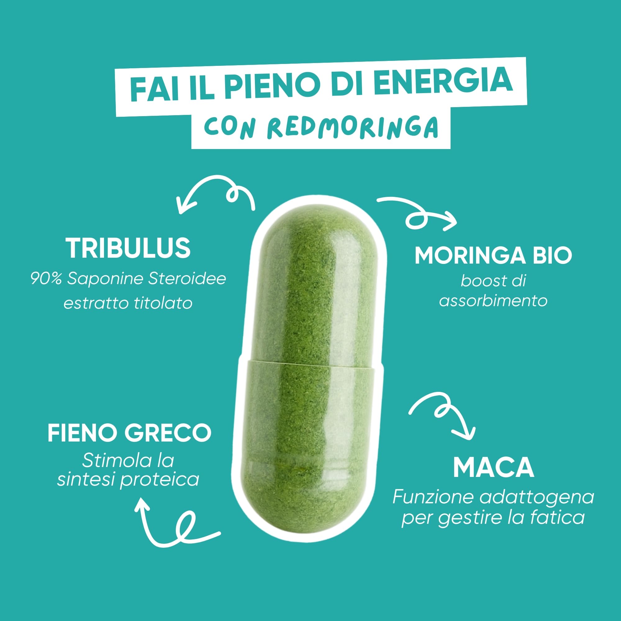 Tribulus Terrestris 90% Saponine Steroidee Maca Fieno Greco | Integratore Energia Booster Moringa BIO | Sostegno Massa Muscolare | Tribulus Alto Dosaggio | 100% Naturale | RedMoringa® (60 Capsule)