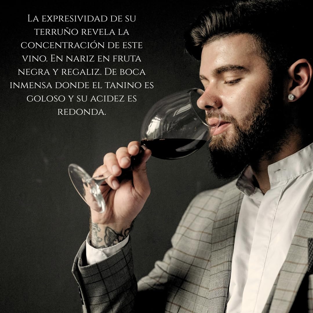 Henrique de Benoît® Vino Tinto Premium Reserva 2020 Pack 3 Botellas 750 ml | Tempranillo 45% Syrah 45%, Graciano 10% | 12 Meses Barrica + 5 Años Botella | Regalo Gourmet Vino Tinto Campiña - Madrid