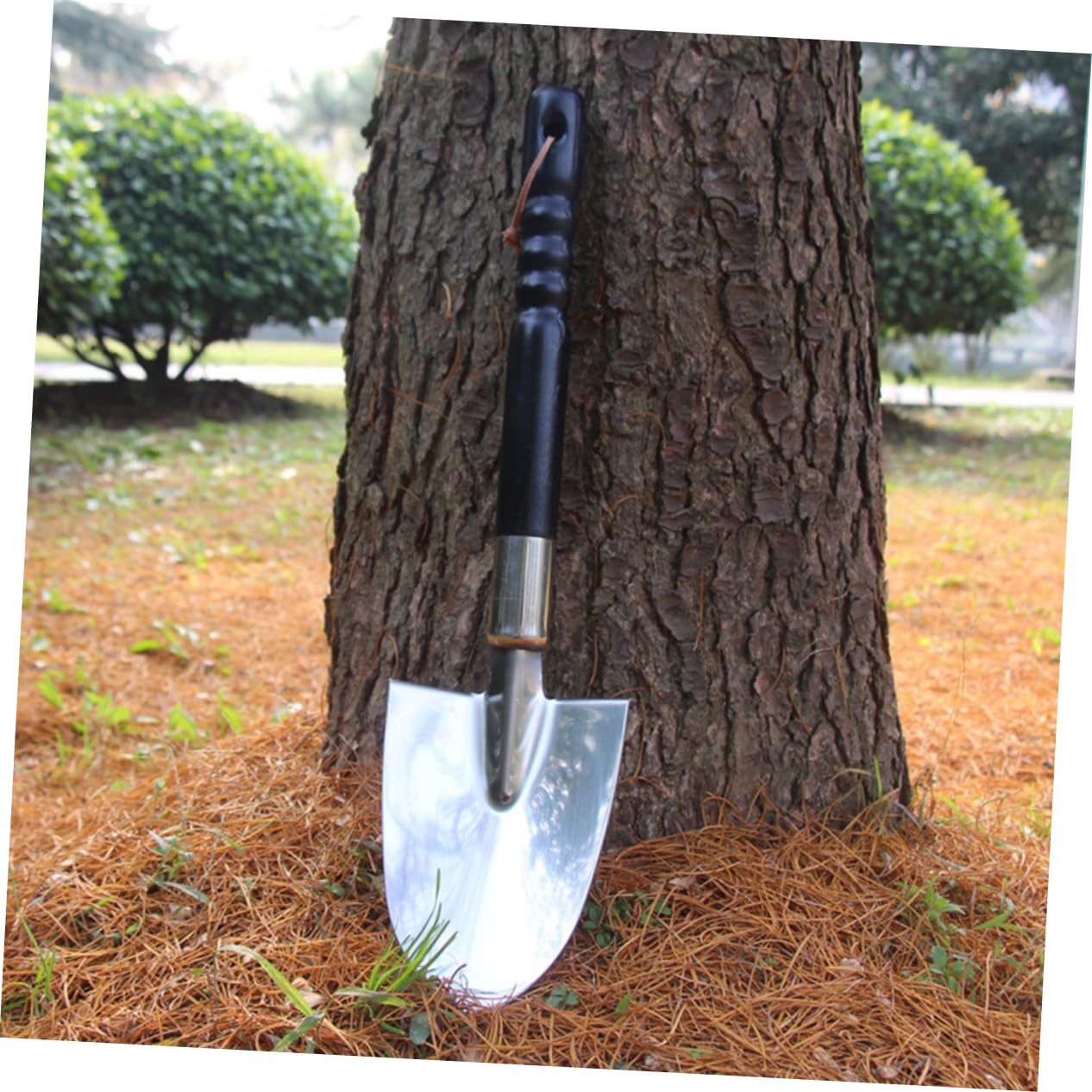 Milisten Edelstahl Gartenschaufel mit Langem Stiel für Bonsai und Topfpflanzen Gartenspaten aus Rostfreiem Stahl Gartenschaufel Handwerkzeug für Gartenpflege und Pflanzung