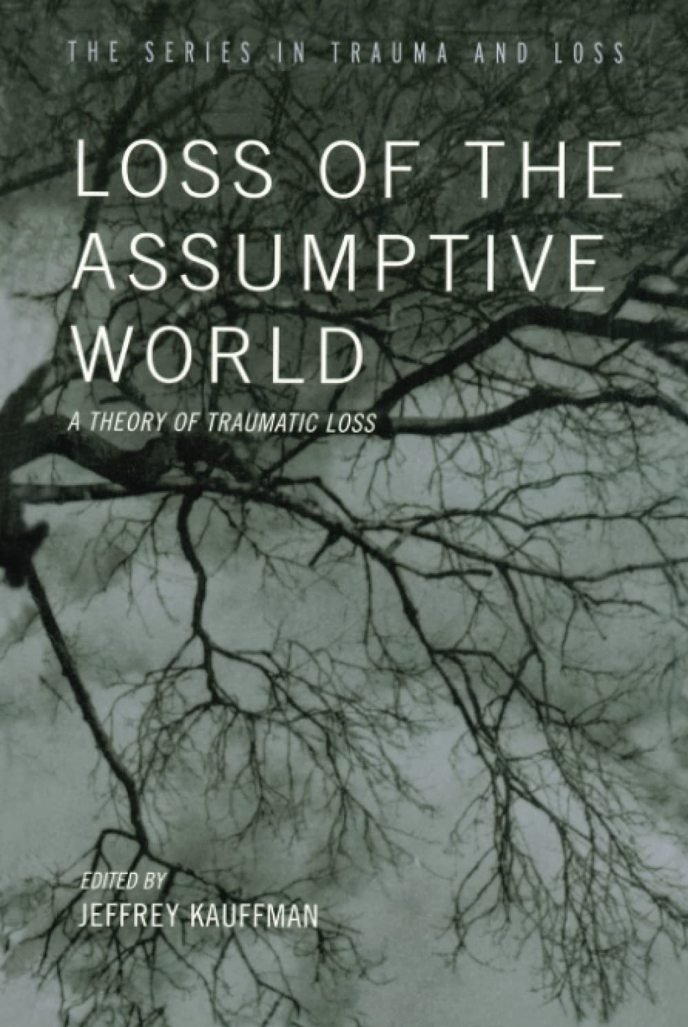Loss of the Assumptive World: A Theory of Traumatic Loss (Series in Trauma and Loss)