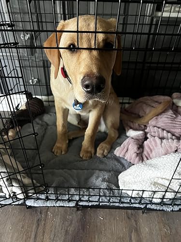 He is very attached to his crate