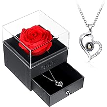 Hicarer Necklace Gift for Girlfriend Women I Love You in 100 Languages Projection Necklace Heart Pendant with Preserved Red Rose Flower in Box for Mother's Day Wife on Anniversary Birthday