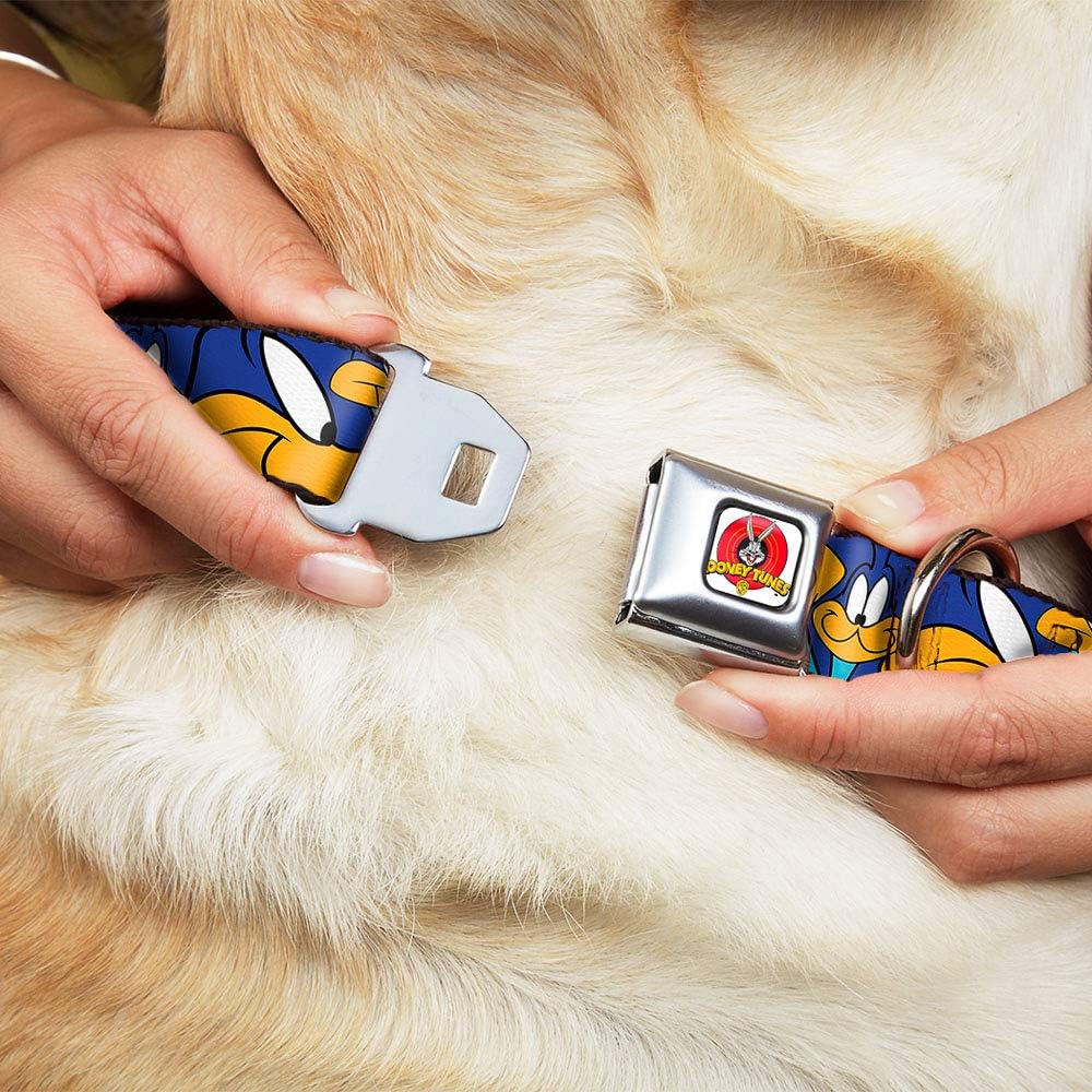 Buckle-Down Seatbelt Buckle Dog Collar - Road Runner Expressions Stacked - 1.5" Wide - Fits 18-32" Neck - Large