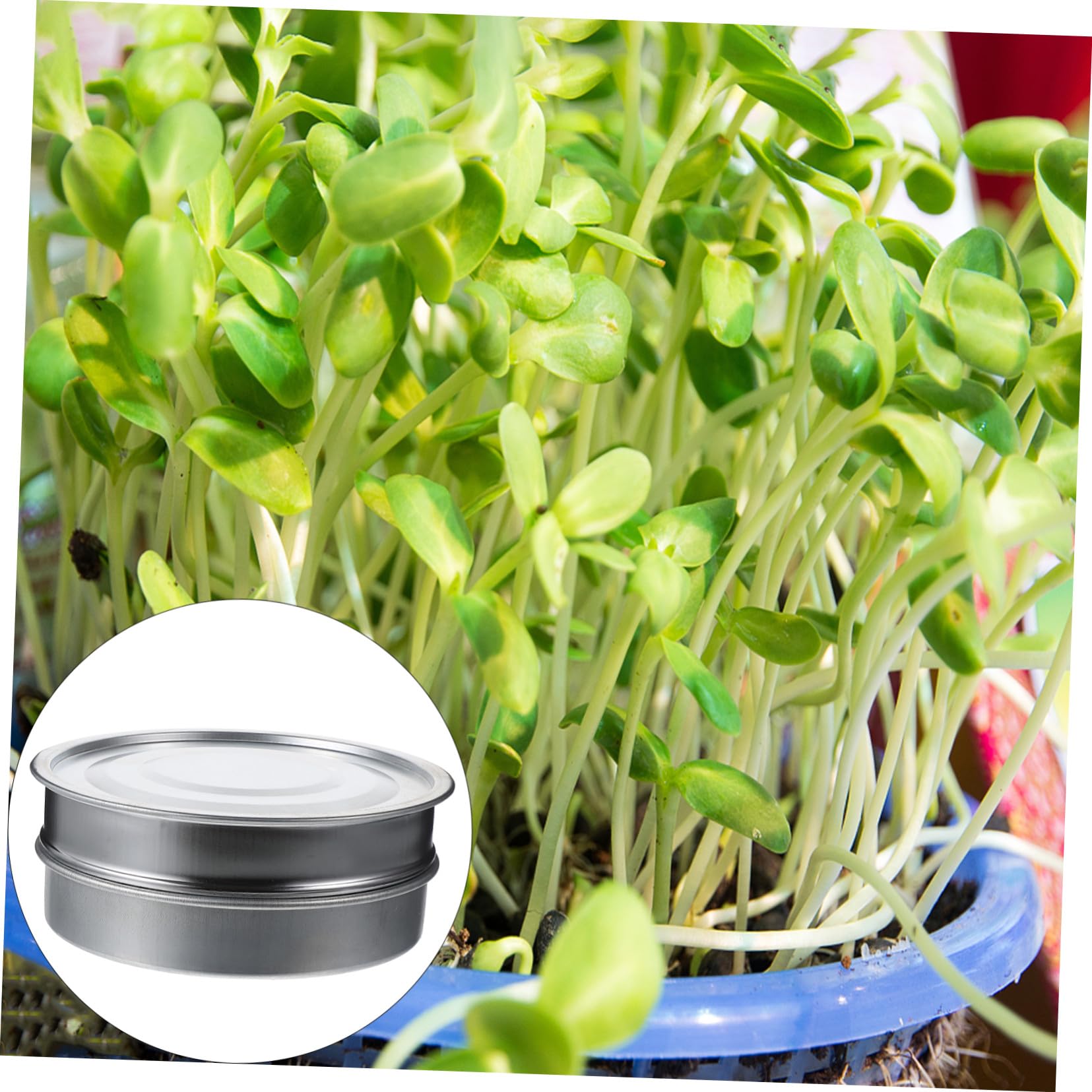 Keimschalen aus Edelstahl 20cm 3 Stück mit Feinmaschigem Sieb zur Vermeidung von Samenverlust und Einfacher Drainage für Garten und Zuhause