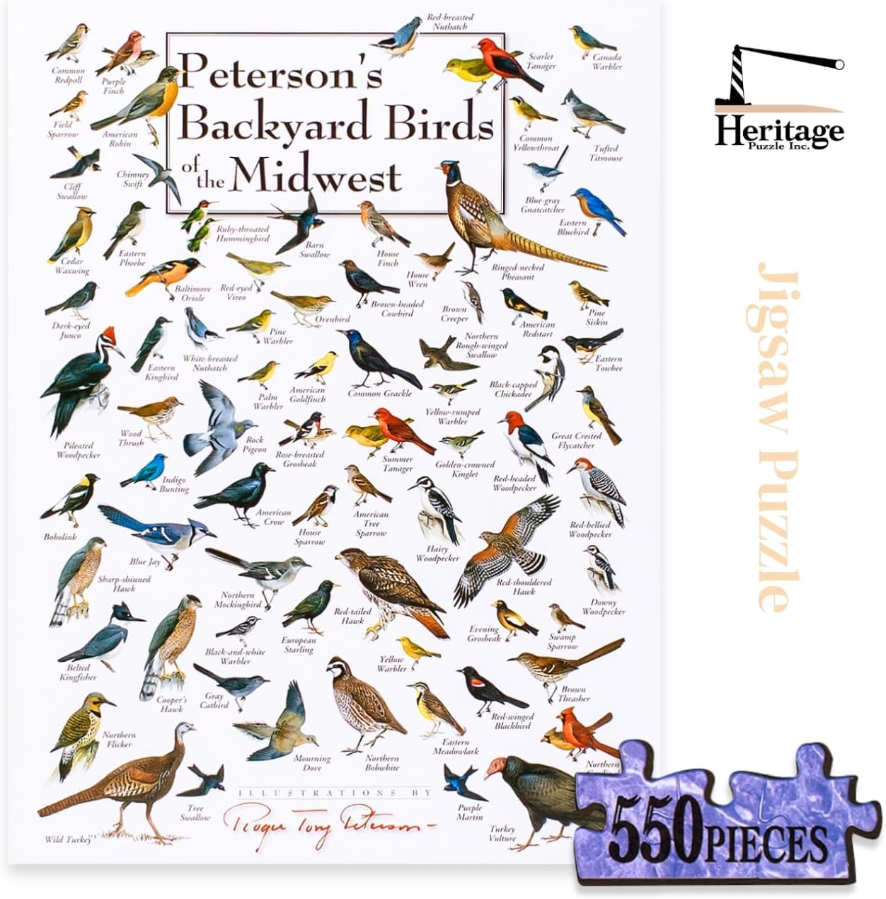 Heritage Puzzle Backyard Birds of The Midwest by Roger Tory Peterson - 550 Pieces - Made in The USA - Frameable 24” x 18” Finished Size