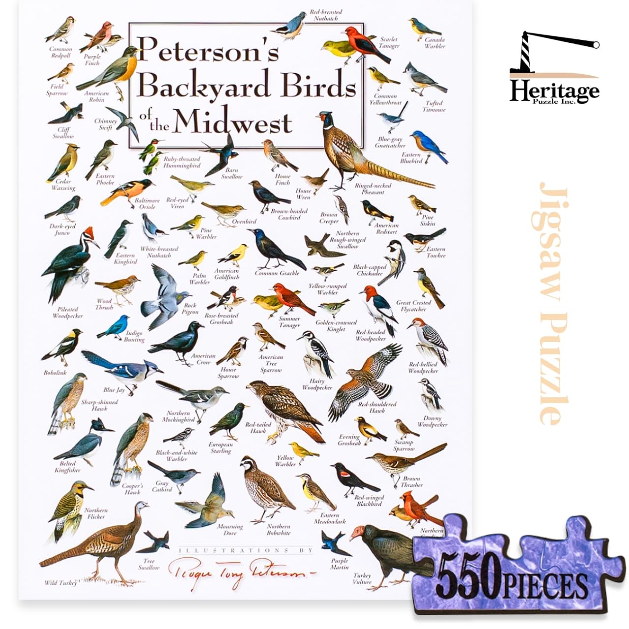 Amazon.com: Heritage Puzzle Backyard Birds of The Midwest by Roger