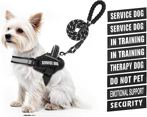 Juego de Chaleco y Correa para Perro de Servicio, Arnés de Entrenamiento Animire para Perro con 10 Parches para Perros, Correa Reflectante para