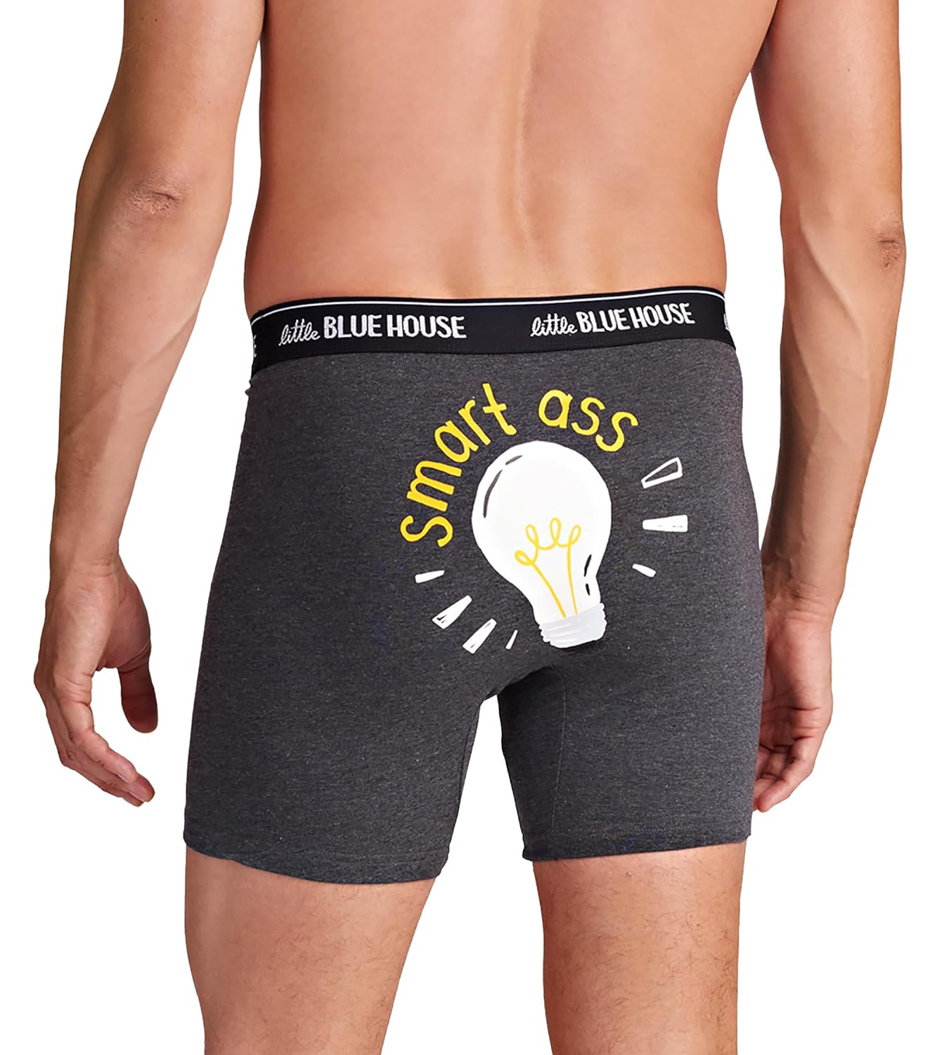 Little Blue House mens Funny Boxer Briefs