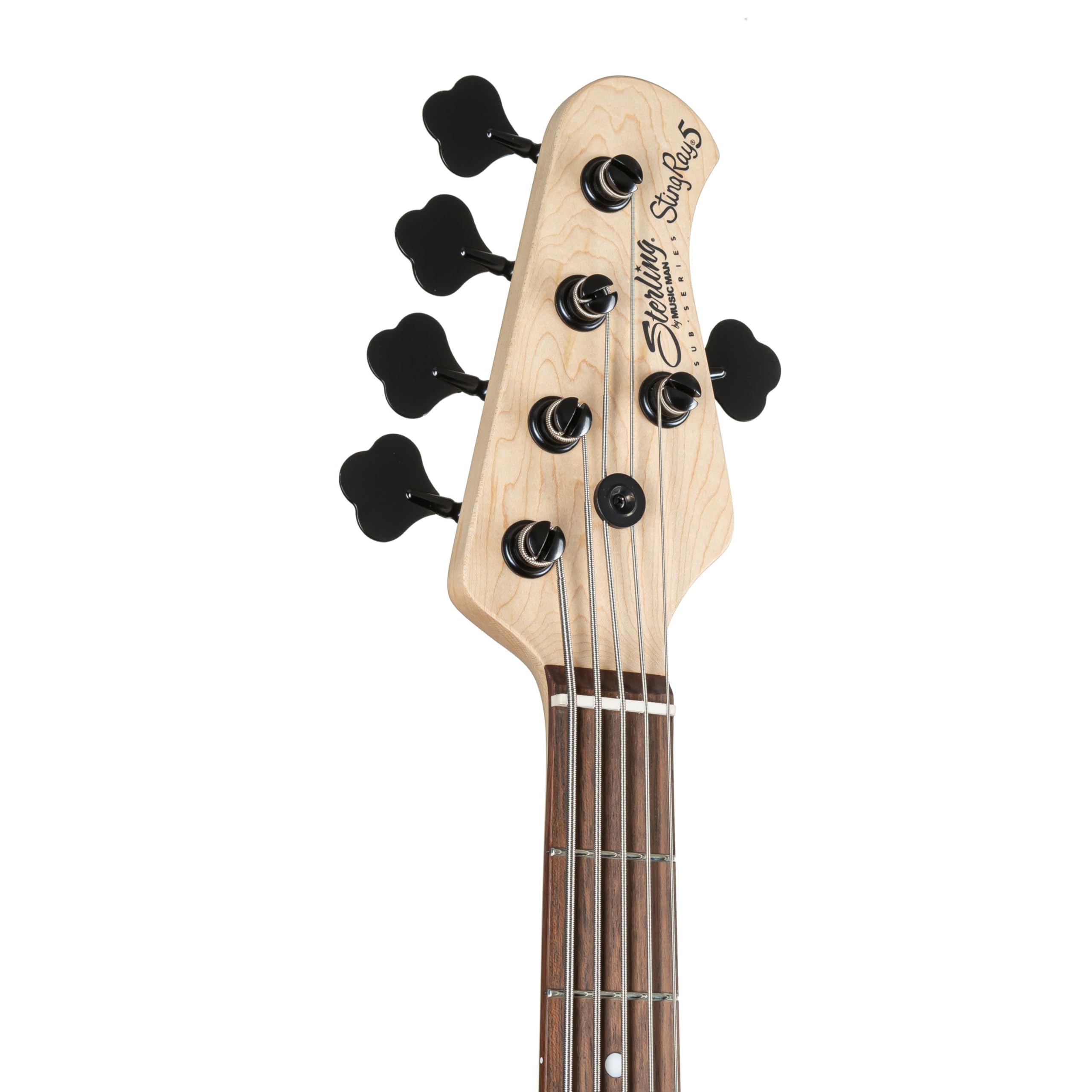 Amazon.com: Sterling By Music Man StingRay RAY5HH Bass