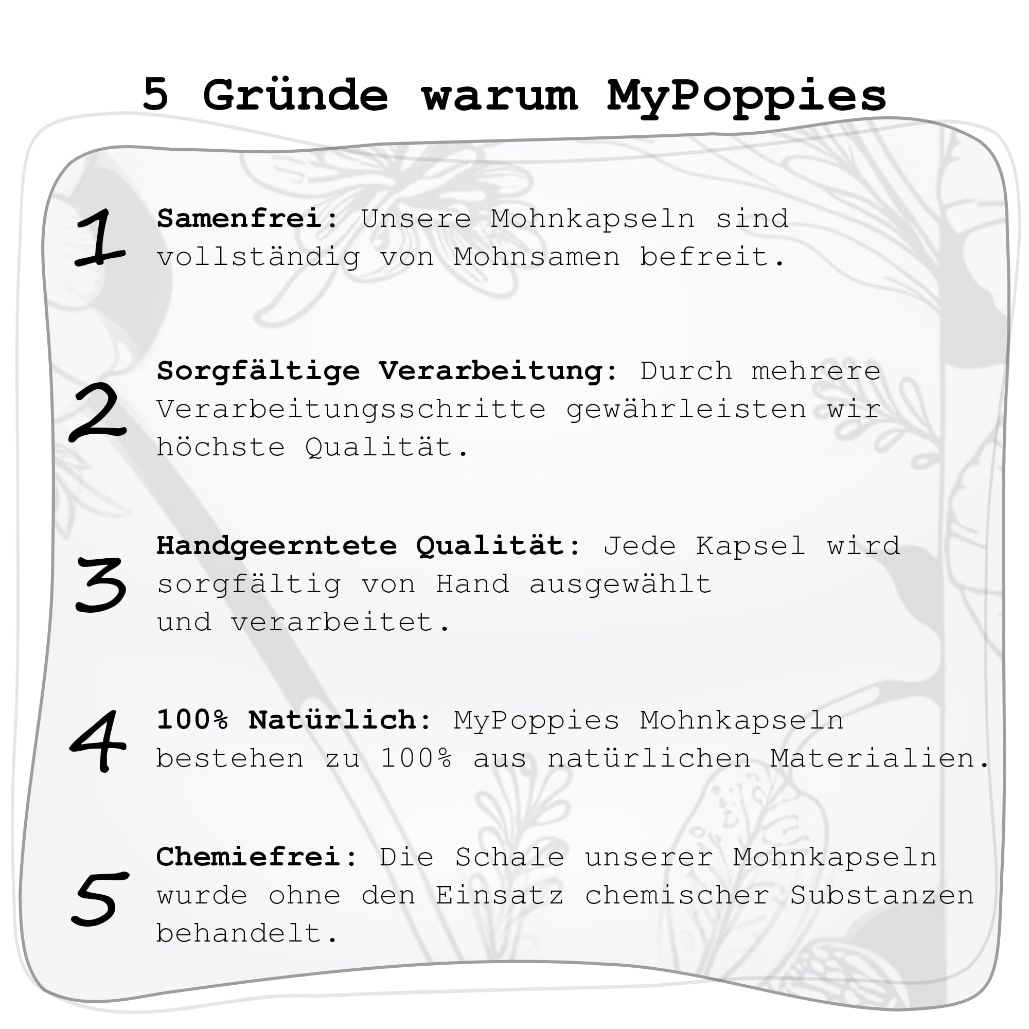 Mohnkapseln, Poppy Pods | Klein & ohne Stiel | Getrocknet | Bastelzubehör & Deko (Große Mohnkapseln, 250g)