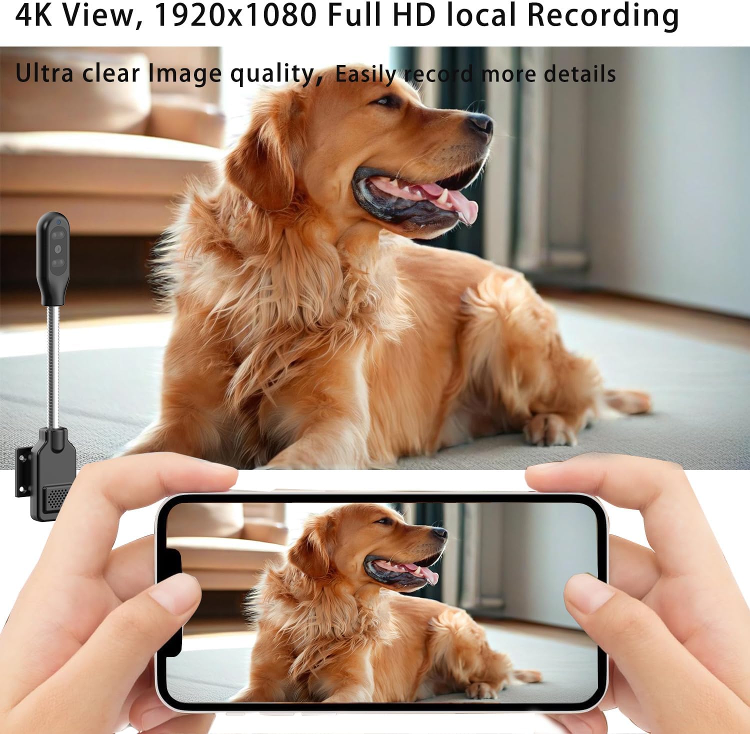 PNZEO W8 Camera App Interface