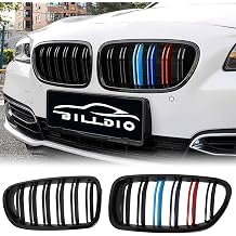 F10 Grille - Front Kidney Grille ABS Double Slats Color Grille 2Pcs