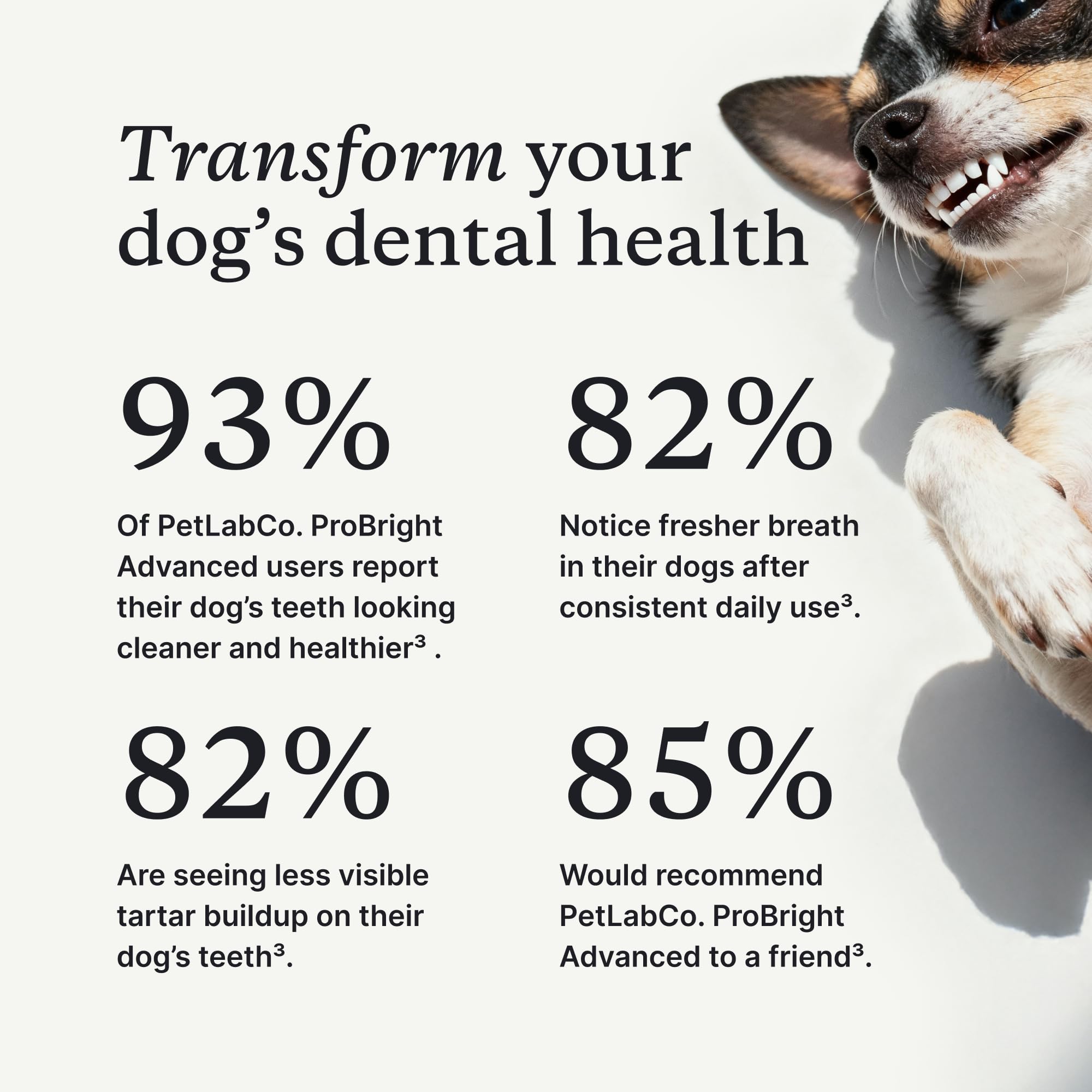 PetLab Co. ProBright Advanced Dental Powder - Dog Breath Freshener - Teeth Cleaning Made Easy – Targets Tartar & Bad Breath - Packaging May Vary - Formulated for Extra Small Dogs - image 5