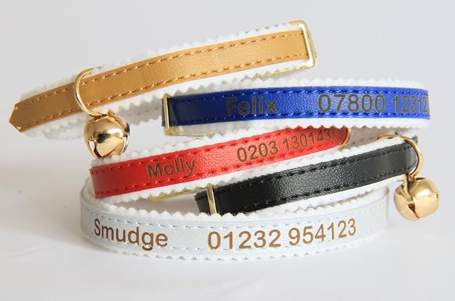 Collar personalizado para gatos y gatitos