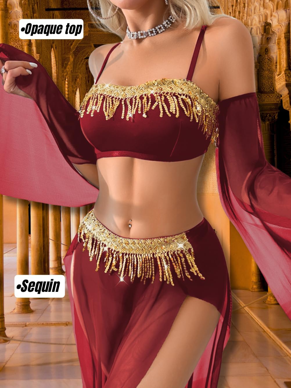 ShawGobow Exotic Wear Dancer Outfits,High Slit Skirt Sexy Lingerie For Women,Belly Dance Costume Cosplay Festival