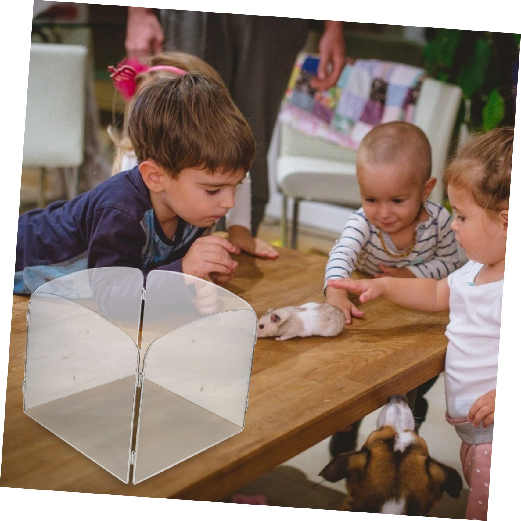 Recinto Pieghevole in Acrilico Leggero per Piccoli Animali come Conigli e Criceti, Barriera Sicura per Esercizio Indoor e Outdoor