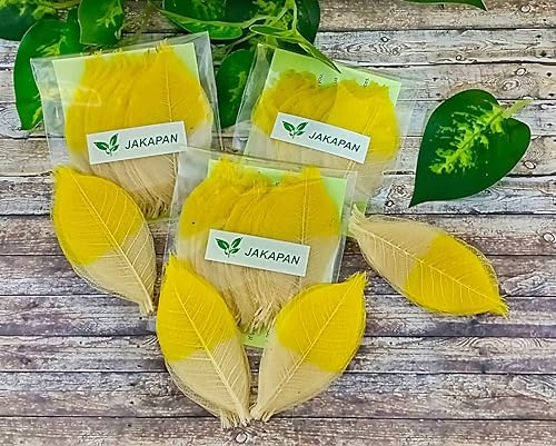 Miniatura 3 de JAKAPAN Hojas de esqueleto decorativas de dos tonos, árbol de goma natural, álbum de recortes, manualidades, tarjeta de boda, hojas pequeñas, uso
