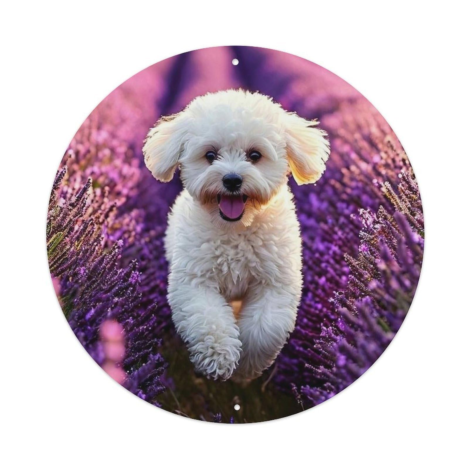 Animal Lavender Field Bichon Frise Running Joyful Sunset Landscape Vintage Metal Tin Sign Plaque Wall Decor for Cafe, Club Bar, Office, Garden Metal Poster 8x8Inch