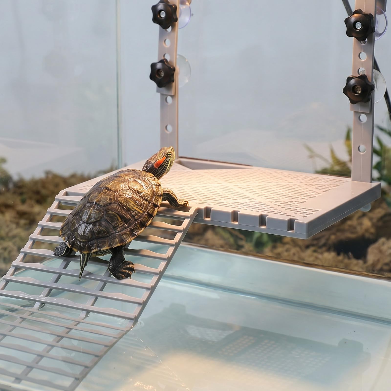 Toddmomy Piattaforma e rampa per Tartarughe acquatiche | Galleggiante sopra la Vasca | Funzionale per acquari e terrari | Piattaforma per Tartarughe acquatiche