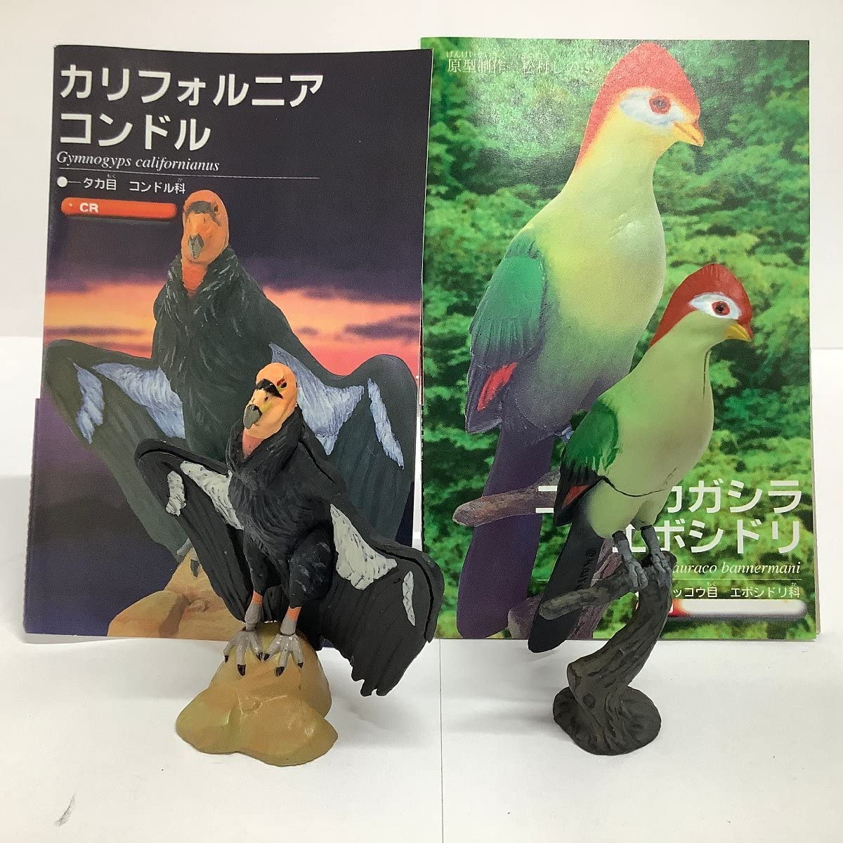 動物世界遺産 レッド・データ・アニマルズ ユーラシア・北アメリカ・アフリカ編 全12種 Amazon.co.jp: フルタ 世界の動物コレクション 動物世界遺産 レッド