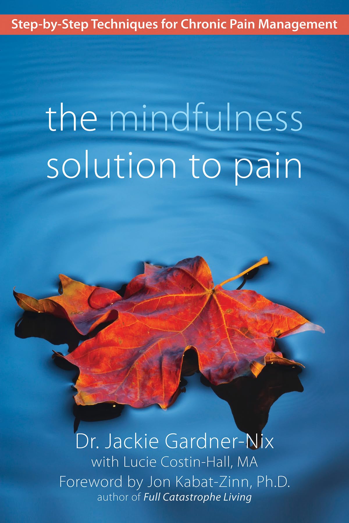 The Mindfulness Solution to Pain: Step-by-Step Techniques for Chronic Pain Managment