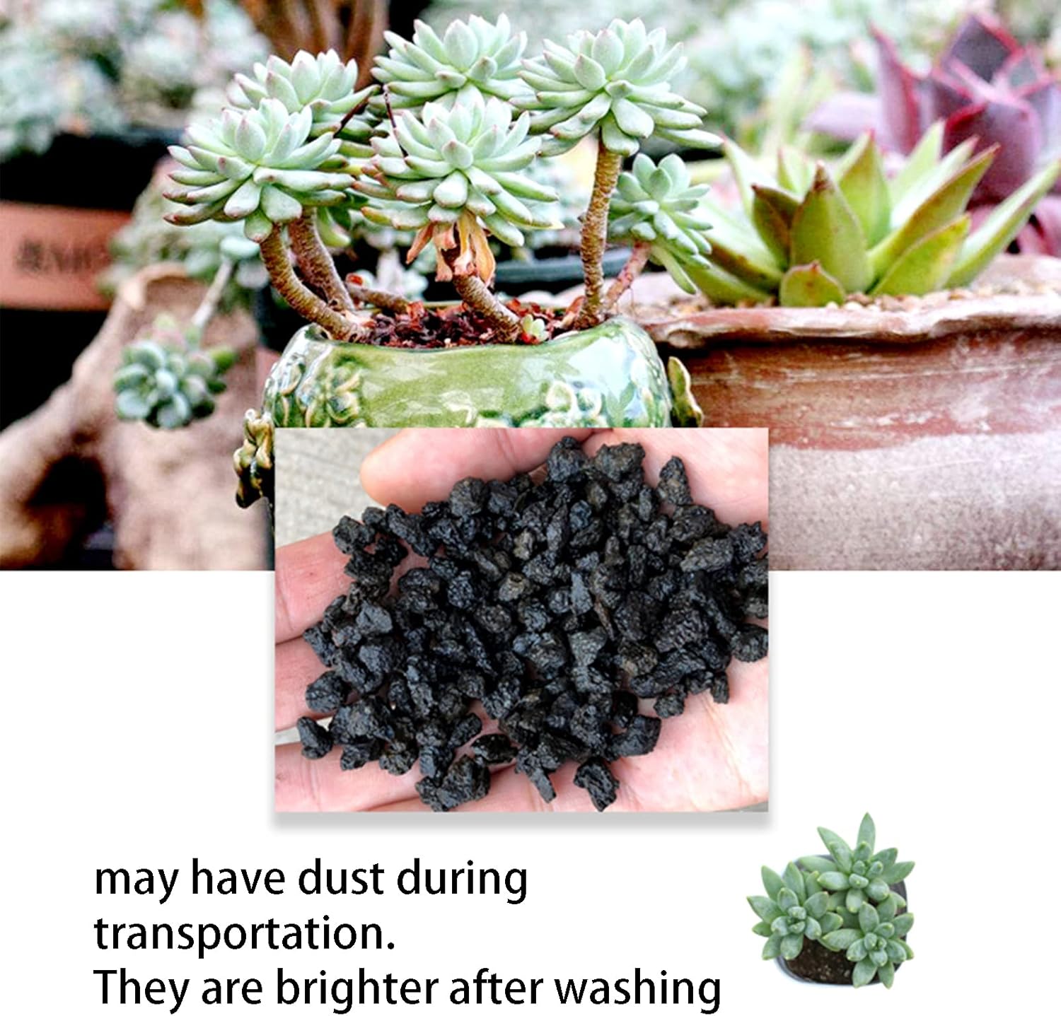 Black Horticultural Lava Rock for Plants, Natural Volcanic Stone