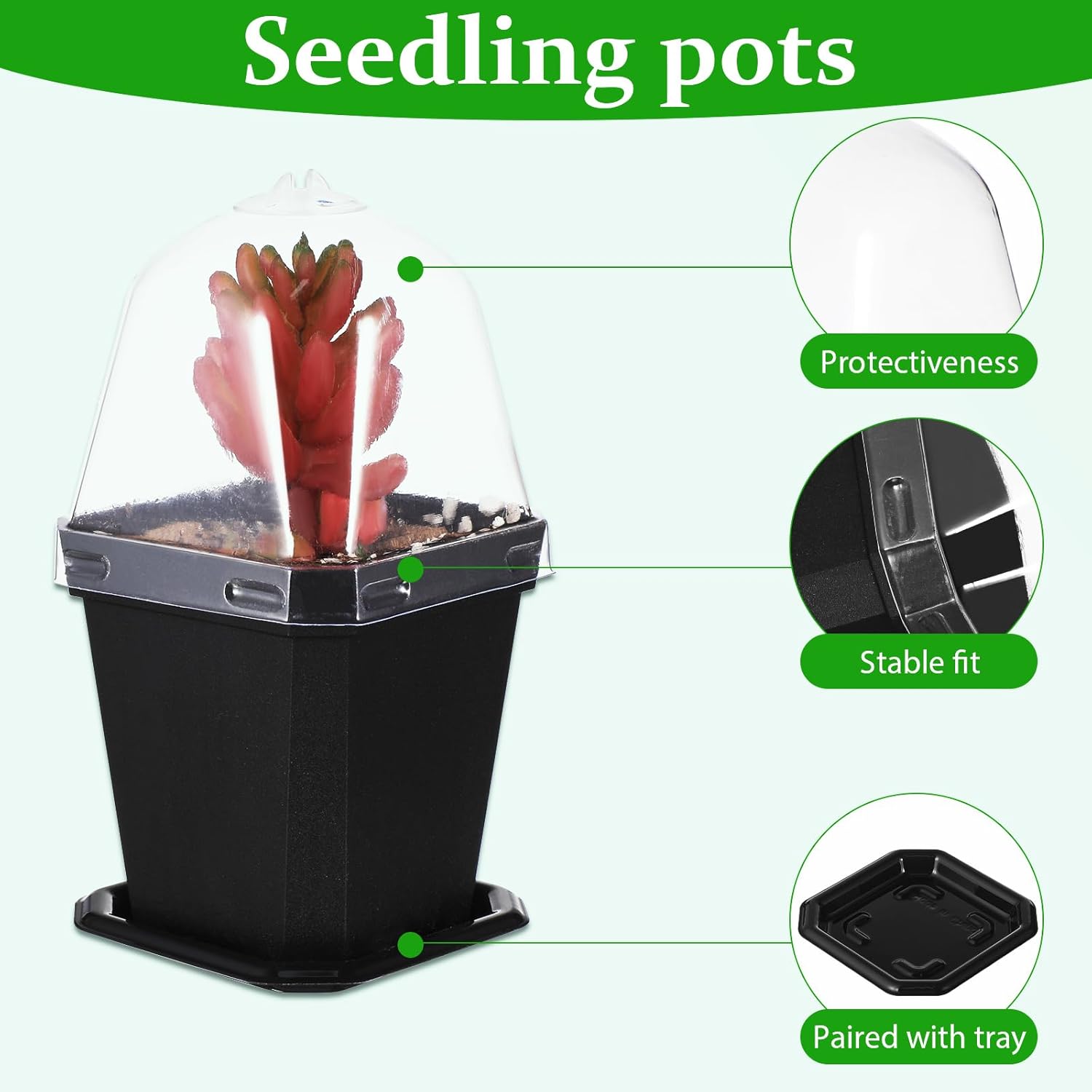LIOOBO Black Plant Nursery Pots: 5Pcs Seeding Starter Pots, 3 Square Nursery Pot with Humidity Dome, Plastic Plant Container for Garden Vegetable Flower Germination (Pack of 2)