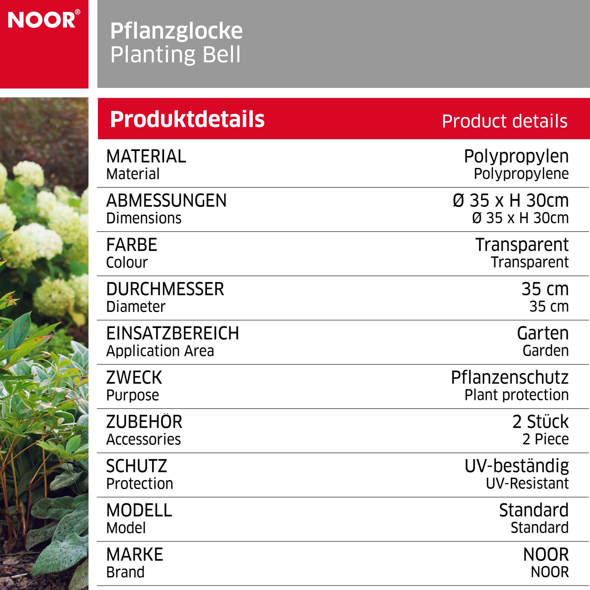 15 soorten Klokjesbloem 'Campanula' planten kopen & combineren – Page 2