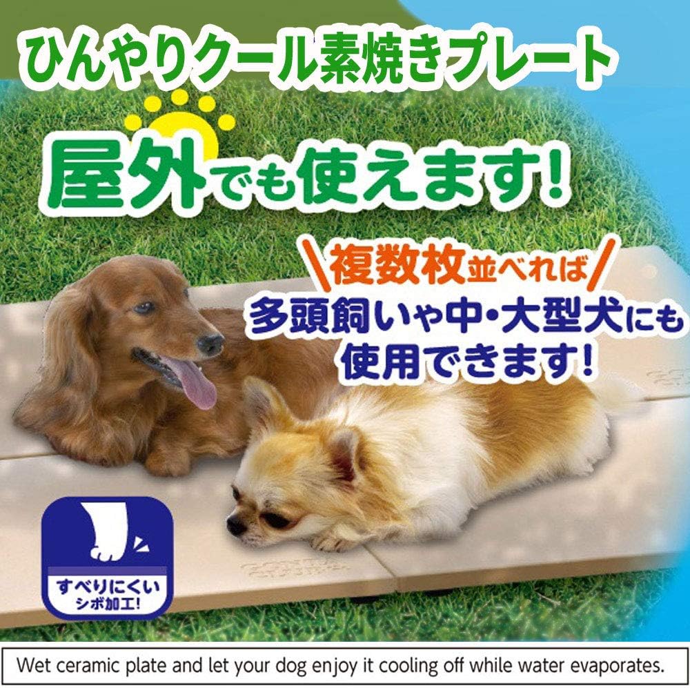 Amazon マルカン ひんやり素焼きプレート マルカン 底砂 床材 通販