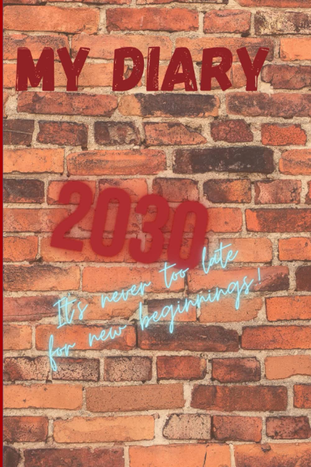 2030 DIARY: SERIES: “It’s never too late for new beginnings!”