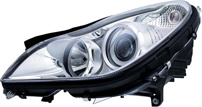 HELLA Driver Side Headlight Assembly, Multi, 008821051
