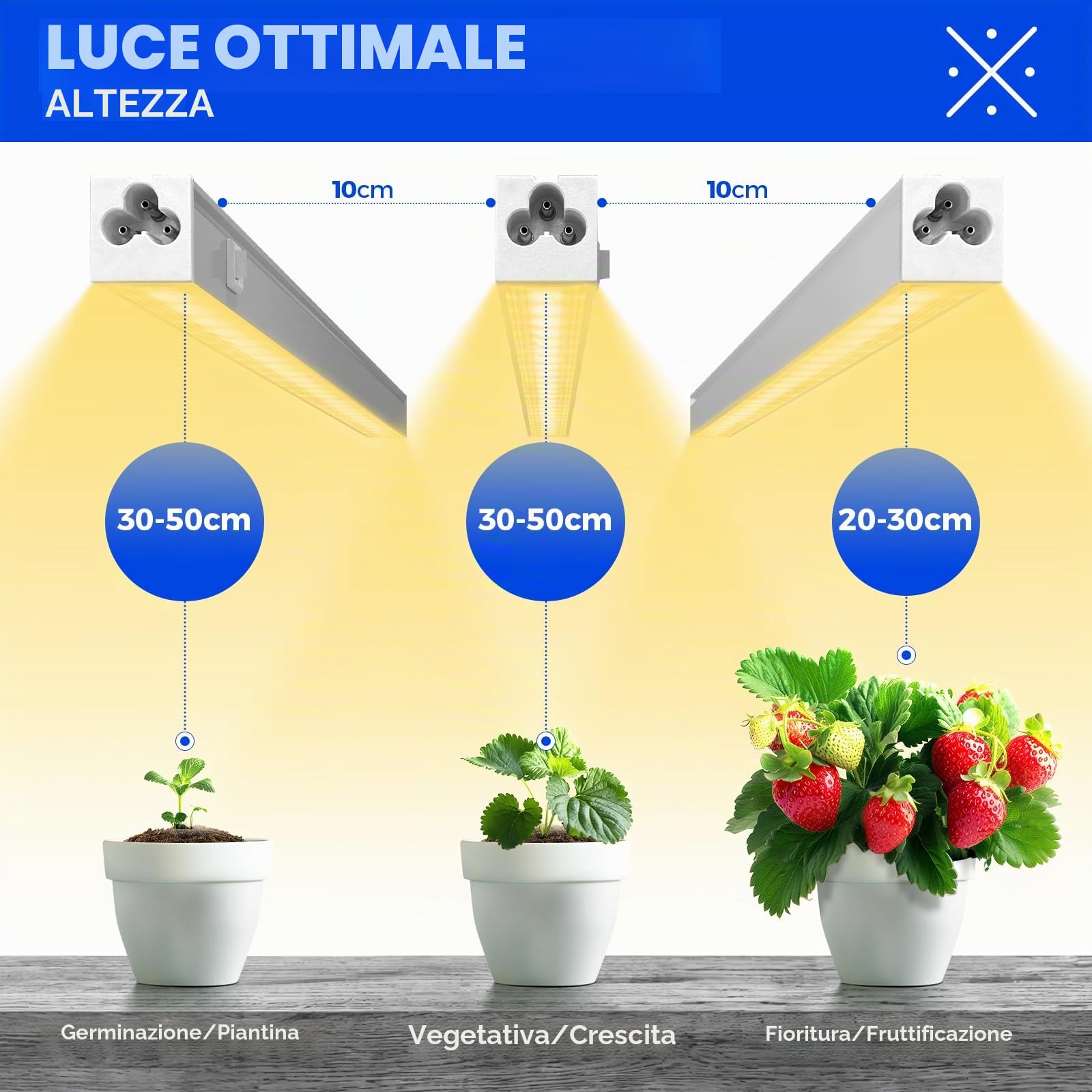Barrina T5 1FT Luci di Crescita per Piante d'Interno, Giallo, Spettro Completo di Luce Solare, Lampada di Crescita Collegabile, Striscia di Luce di Crescita LED con Interruttore, Plug and Play