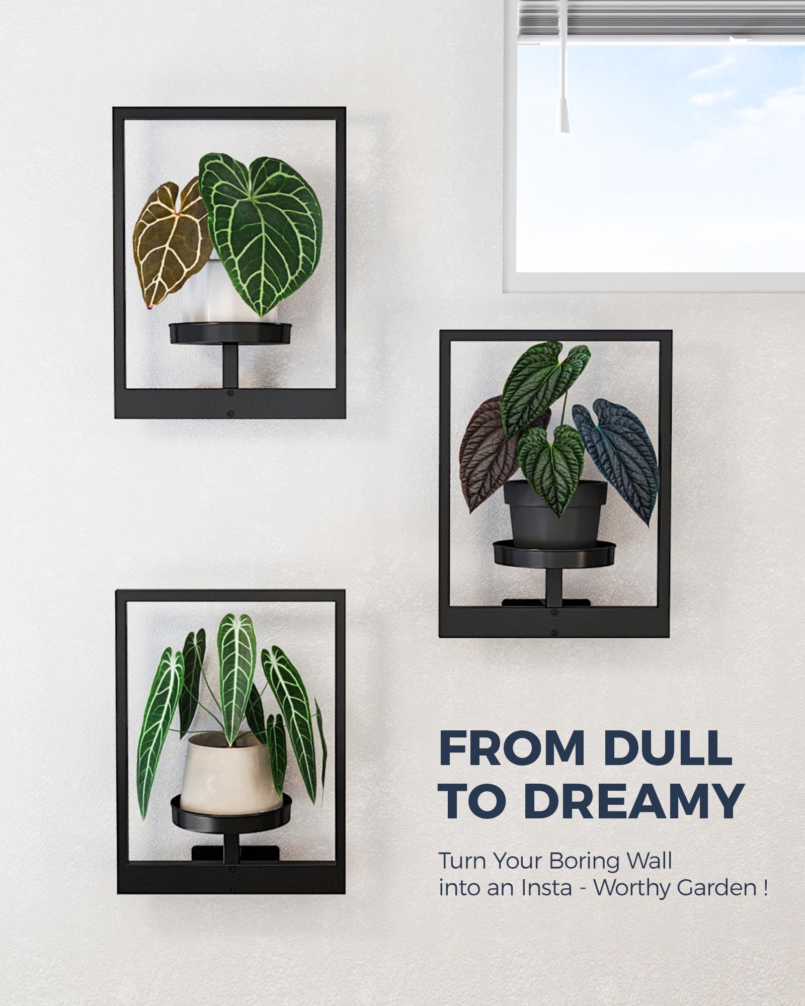 Snapklik.com : Bamworld Wall Planters For Indoor Plants Plant Holders ...