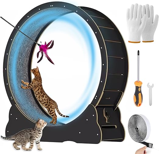 Large Cat Exercise Wheel 40 inch - Black Solid Wood Cat Wheel Exerciser for Indoor Cats, Safety Cat Treadmill with Lock & Minimized Gapdesign