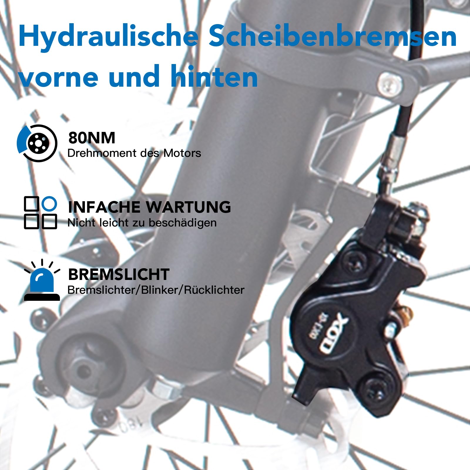 HAOQI Elektrofahrrad für Erwachsene, 250W bürstenloser Motor Mountainbike mit 48V 20AH herausnehmbarem Akku,26" x 4.0 Fat Tire Ebike, Elektrofahrrad mit 7 Gängen bis zu 25 km/h