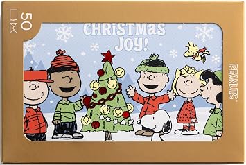 Dayspring Peanuts Christmas Joy! - The Wonder of Christmas - 50 Bulk Christmas Boxed Cards & Envelopes, NLT J9694