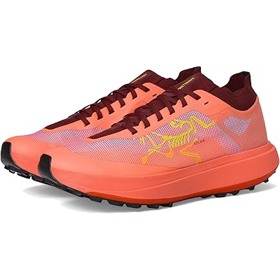 Мужские кроссовки Arcteryx Sylan Pro