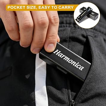 Blues Harmonica in C, 10 Hole 20 Tone Titanium Mini Diatonic Mouth Organ | with Case Black, Perfect Music Gift Adults Professionals Beginners Students