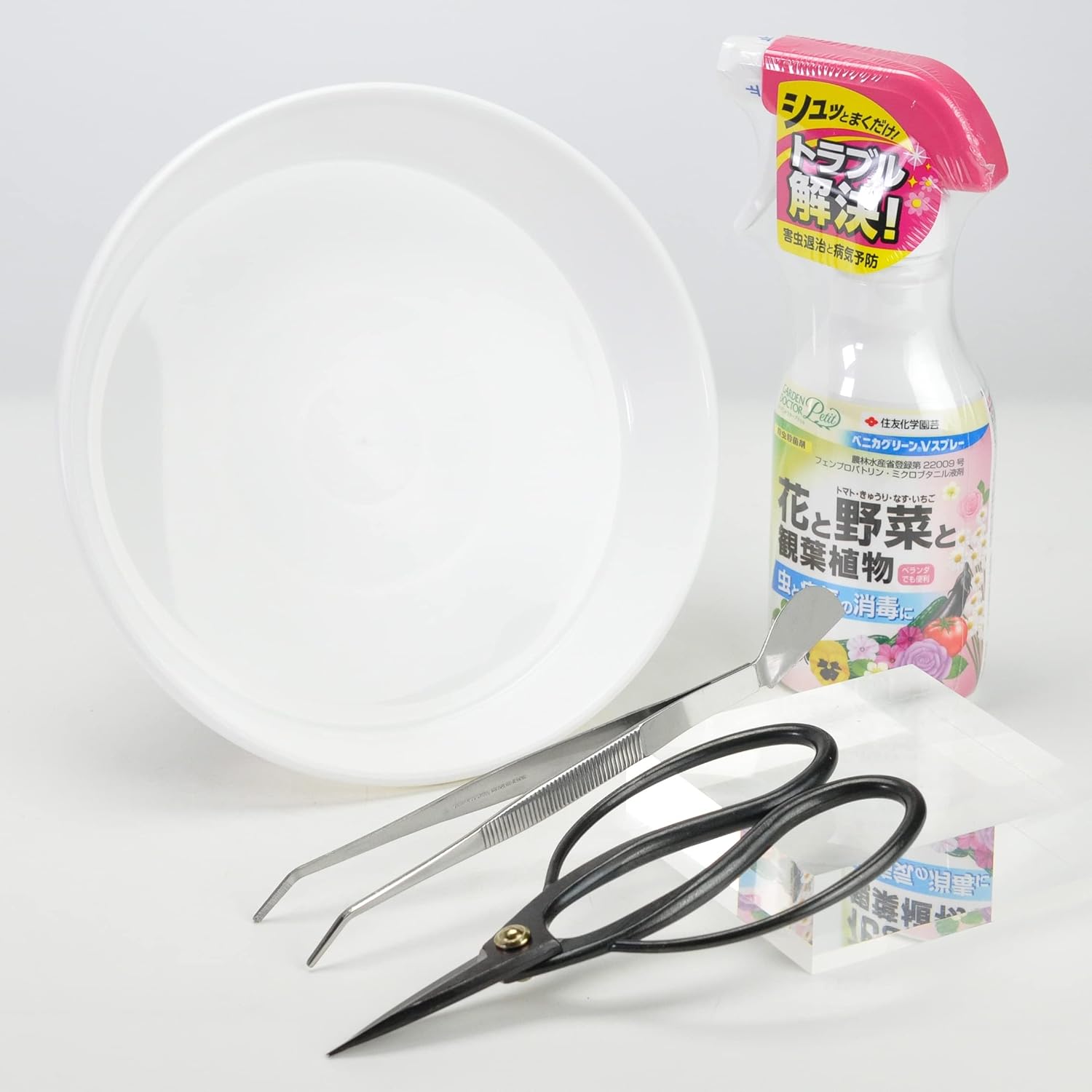 ポケモン 初期 ピンズ フシギダネ 初代 Nintendo刻印